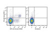 PE Anti-Mouse CD161/NK1.1 Antibody [PK136] (AGEL0485)
