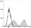 PE/Cyanine7 Anti-Mouse MHC II (I-A/I-E) Antibody [M5/114] (AGEL0504)