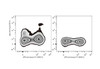 GenieFluor 488 Anti-Mouse CD11c Antibody [N418] (AGEL0521)