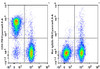 PE/Cyanine5.5 Anti-Mouse CD3 Antibody [17A2] (AGEL0661)
