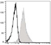 GenieFluor 488 Anti-Mouse CD54 Antibody [YN1/1.7.4] (AGEL0718)