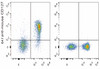 GenieFluor 647 Anti-Mouse CD127/IL-7RA Antibody [A7R34] (AGEL0744)