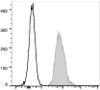 PE Anti-Human CD147 Antibody [HIM6] (AGEL0971)
