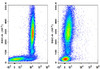 PE/Cyanine5 Anti-Human CD32 Antibody [IV-3] (AGEL1076)