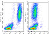 PE/Cyanine5 Anti-Human CD15 Antibody [HI98] (AGEL1087)