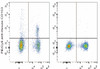 PE/Cyanine5 Anti-Mouse CD103 Antibody [M290] (AGEL1148)