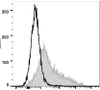 PE Anti-Mouse CD106 Antibody [M/K-2.7] (AGEL1173)