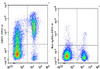 FITC Anti-Mouse CD71 Antibody [R17 217.1.3/TIB-219] (AGEL1196)