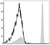 APC Anti-Mouse CD4 Antibody [GK1.5] (AGEL1247)