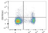 PE/Cyanine5.5 Anti-Mouse CD25 Antibody [PC-61.5.3] (AGEL1310)