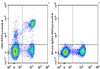 PE/Cyanine5 Anti-Rat CD4 (domain 1) Antibody [OX-38] (AGEL1359)