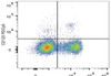 PE/Cyanine5 Anti-Human CD123 Antibody [6H6] (AGEL1458)