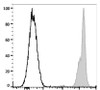PE/Cyanine7 Anti-Human CD45 Antibody [HI30] (AGEL1682)