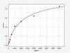 Human CCL25/TECK ELISA Kit (HUFI00058)