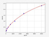Human Cathepsin S/CTSS ELISA Kit (HUFI00049)