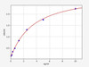 Human C1qR/CD93 ELISA Kit (HUFI00786)