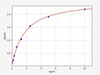 Human PCX (Podocalyxin) ELISA Kit (HUFI00795)