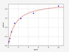 Human UBA3/NEDD8 E1 ELISA Kit (HUFI00894)