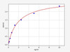 Human PSMB9/Proteasome subunit beta type-9 ELISA Kit (HUFI01080)