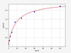 Human MEPE/Matrix extracellular phosphoglycoprotein ELISA Kit (HUFI01136)