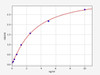 Human RAB8A/Ras-related protein Rab-8A ELISA Kit (HUFI01328)
