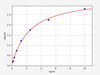 Human GLT25D1/COLGALT1 ELISA Kit (HUFI01618)