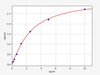 Human EPAS1/HIF-2-alpha ELISA Kit (HUFI01715)