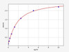 Human NR1H4/FXR ELISA Kit (HUFI01735)