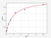 Human CAPN2/Calpain 2 ELISA Kit (HUFI01843)