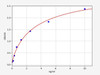 Human LAIR1/CD305 ELISA Kit (HUFI02073)