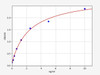 Human HAS1/Hyaluronan synthase 1 ELISA Kit (HUFI02147)