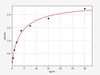 Human IgG2/Immunoglobulin G2 ELISA Kit (HUFI02579)