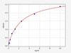 Human DKK4/Dickkopf-related protein 4 ELISA Kit (HUFI00493)