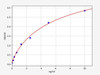 Human SLC8A1/Sodium/calcium exchanger 1 ELISA Kit (HUFI00617)
