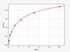 Rat CX3CL1/Fractalkine  ELISA Kit (RTFI00018)