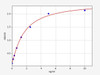 Rat Leptin ELISA Kit (RTFI00073)