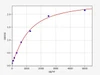 Rat Aminopeptidase O/ONPEP ELISA Kit (RTFI00342)