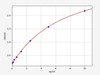 Rat KiSS-1 ELISA Kit (RTFI00469)