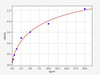 Rat ABCB1/P Glycoprotein ELISA Kit (RTFI00518)
