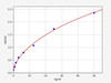 Rat Arginase/ARG ELISA Kit (RTFI00577)