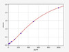 Rat Amyloid Beta 42/AB 1-42 ELISA Kit (RTFI00586)