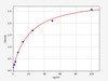 Rat IgG/Immunoglobulin G ELISA Kit (RTFI00892)