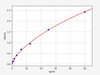 Rat IL-1SR 2 ELISA Kit (RTFI00902)