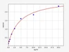 Guinea pig PIINP/Procollagen II N-Terminal ProPeptide ELISA Kit (GPFI00043)