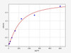 Rabbit GMCSF/CSF2/Granulocyte Macrophage Colony Stimulating Factor 2 ELISA Kit (RBFI00046)