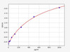 Rabbit IL-1B ELISA Kit (RBFI00062)