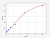 Rabbit VEGFR2/VEGF Receptor 2 ELISA Kit (RBFI00130)