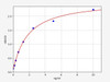 Mouse MPO ELISA Kit (MOFI00008)