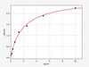 Mouse HSP-60/Heat Shock Protein 60 ELISA Kit (MOFI00907)