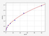 Mouse IgG2a/Immunoglobulin G2a ELISA Kit (MOFI00924)